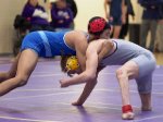New Haven Sectional Wrestling Quarter Finals