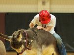 Donkey Basketball at Paulding